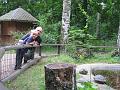Zoo 07